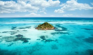 Kwale Island Retraites et Voyages