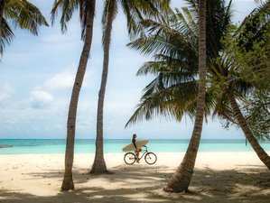 6 Day Yoga Retreat with Nature Adventures in Maui, Hawaii