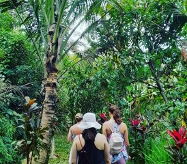 5 Day Detox Juice Fasting, Daily Spa, Meditation, and Yoga Retreat in Sesandan, Bali, Indonesia - Photo 2