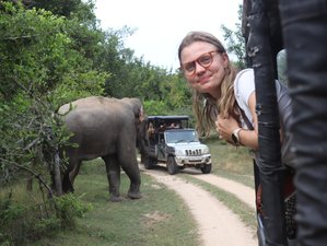 3 Day Sri Lanka Budget Wildlife Tour at Kumana National Park