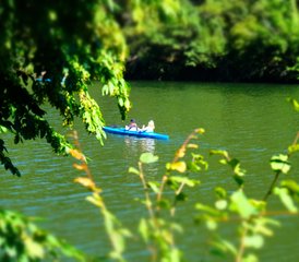 6 Day Yoga Retreat in the Heart of the Eifel, Germany - Photo 5