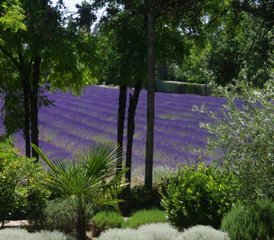 4 jours en week-end de Pilates et yoga détox dans la Drôme provençale, France - Photo 3