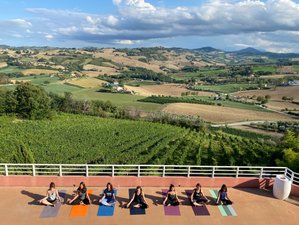 5 Day Wine Tasting and Yoga Retreat in Le Marche, Central Italy