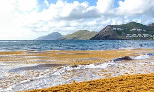 Saint Kitts and Nevis Retreats & Trips