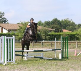 8 Day R.Y.E.2© Intensive Program: Show Jumping and English Training for Teens in Mimizan, France - Photo 2