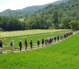 47 jours en itinérance-bivouac Yatra Yoga pour marcher en silence, méditer en Occitanie, France - Photo 1