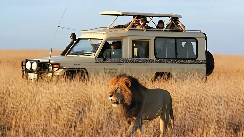 5 Tage Private Luxus-Safari in Tansania mit Inlandsflügen Inklusive