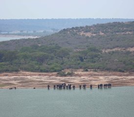 10 Tage Entdecke Wildtiere Safari in Uganda - Photo 4