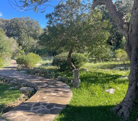 5 Tage Erholung und Ruhe mit Yoga und Breathwork auf Mallorca, Spanien - Photo 3