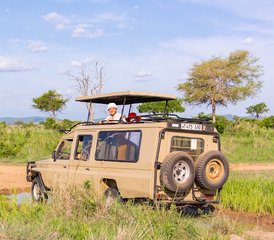 2 jours séjour safari à Mikumi au parc national de Mikumi, Tanzanie - Photo 3
