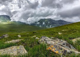 Sofia Province Retreats & Trips