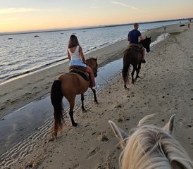 2 Tage Privater Reiturlaub in Lissabon mit Tapas in Portugal - Photo 5