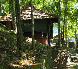5 Day Ayurveda Massages, Meditation, and Yoga Retreat in Kandy, Central Province, Sri Lanka - Photo 5