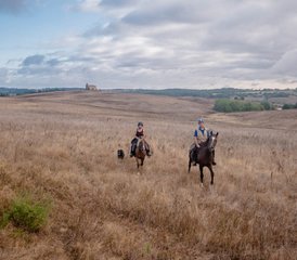 5 Day On the Road to D'Artagnan Horse Riding Tour in France - Photo 4