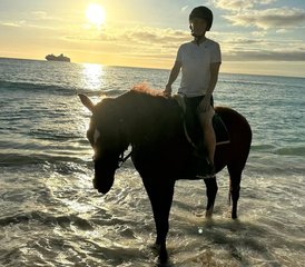 98 Day Ultimate Equestrian Summer Escape: Horse Riding Holiday in Christ Church, Barbados - Photo 1