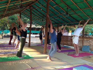 8 Days Yoga and Ayurveda Retreat in Goa, India