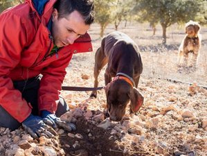 8 Day White Truffle Festival With Chef Kevin Fonzo Culinary Retreat in Piedmont, Italy