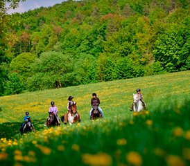 7 Tage Natur, Pferde und Cowboyfeeling – Ihre Reitwoche im Herzen Deutschlands - Photo 2
