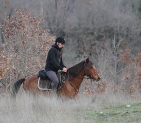 08 Tage Winter Reittour und Kultur in Albanien - Photo 1
