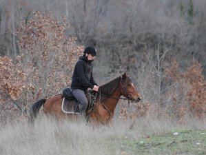 8 Day Winter Horse Riding Trail and Culture in Albania