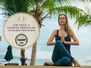 10 Day 100-Hour Yin Yoga and Chinese Meridians Teacher Training in Koh Phangan, Thailand