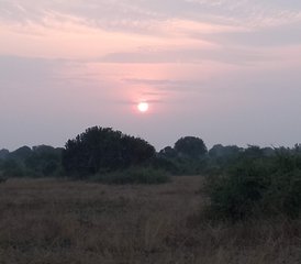 5 Tage Safari des Wanderns mit Nashörnern und den Big Five in Uganda - Photo 4