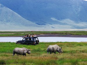 6 Days Safari in Lake Manyara, Ngorongoro Crater, and Serengeti National Park in Tanzania