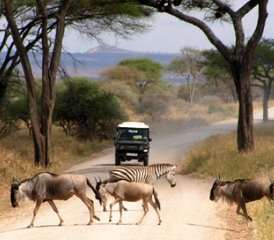 5 Day Luxury Wildlife Safari in Kenya - Photo 2