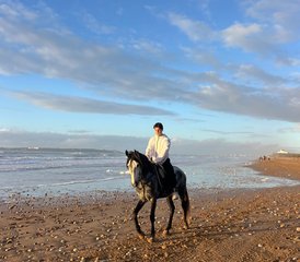 3 jours en stage d’équitation et de randonnée à cheval au sud d’Essaouira, Maroc - Photo 4