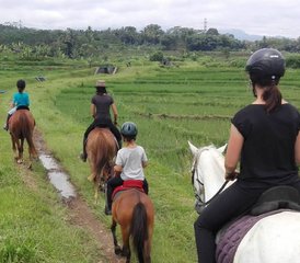 4-Daagse Empowerende Natural Horsemanship en Yoga Retreat in Midden-Java, Salatiga, Indonesië - Photo 3
