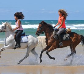8 Day Flexible Horseback Riding Holiday in Mimizan, Landes - Photo 5