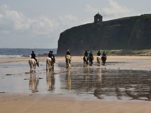 5 Day Iconic Coastal Horse Riding Tour to Dunluce Castle and Giants Causeway, Ireland