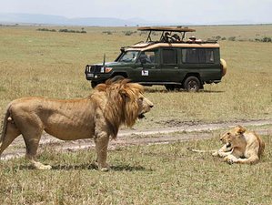 3 Day Extraordinary Maasai Mara Safari in Kenya