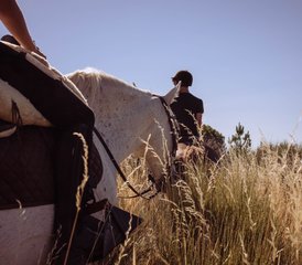 103 Day Horse Riding Holiday on The Spanish-Portuguese Border - Photo 1