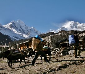 1113-Daagse Manaslu Himal Yoga Trek in Nepal - Photo 1