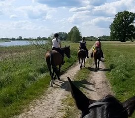2 Day Weekend Horse Trail Ride in Podlachia, Poland - Photo 4