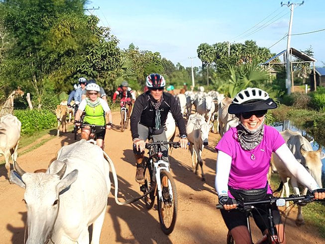 luxury family cycling holidays