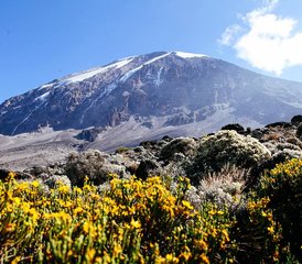 7-Daagse Kilimanjaro Beklimming De Marangu Route Safari in Tanzania - Photo 5