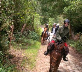 10 Day Casanare Ride: The Old Cattle Road of Almeidas Province - Horse Riding Holiday in Colombia - Photo 4