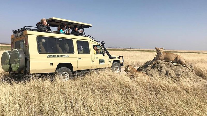 9 Days Cultural and Walking Safari Tour in Tanzania