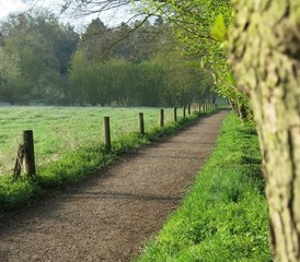 8 Day Yoga Therapy Retreat in Bad Meinberg, Germany for Multiple Sclerosis and Muscular Dystrophy - Photo 4
