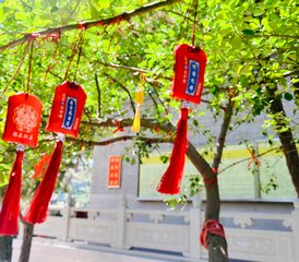 5 Day Bespoke Yoga Holiday in Qingdao, China with Green Tea Picking, Temple Visit, and More - Photo 5