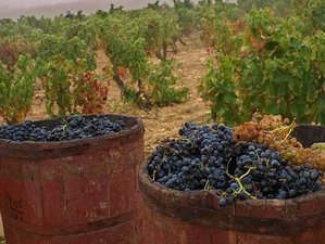 8 Day The Best of Two Worlds: Wine Tasting Tour and Culture Holiday in Madrid and La Rioja
