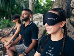 10-Daagse Wellnessreis in India