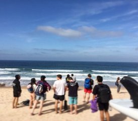 8-Daagse Zon, Zee, Yoga en Ontspanning: Waves and Yoga Surfkamp in Tamraght, Agadir, Marokko - Photo 2