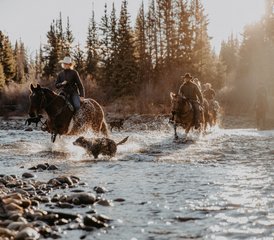 8 Tage Reitpaket mit langen, geführten Ausritten durch das Chilcotin, British Columbia, Kanada - Photo 3