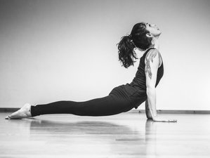 alignment-based hatha yoga book