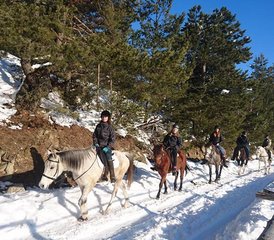 3 Day Horse Riding Vacation in Rila National Park, Bulgaria - Photo 5