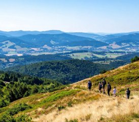 5 Tage Yoga-Wander-Retreat im Allgäu, Deutschland: Let it be, Freiheit beginnt im Seinlassen - Photo 2