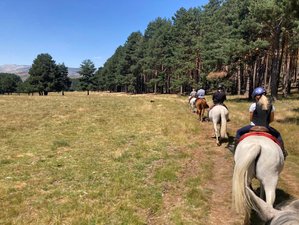 8 Day Castles of Gredos Mountains Horse Riding Holiday in Avila, Castile and León